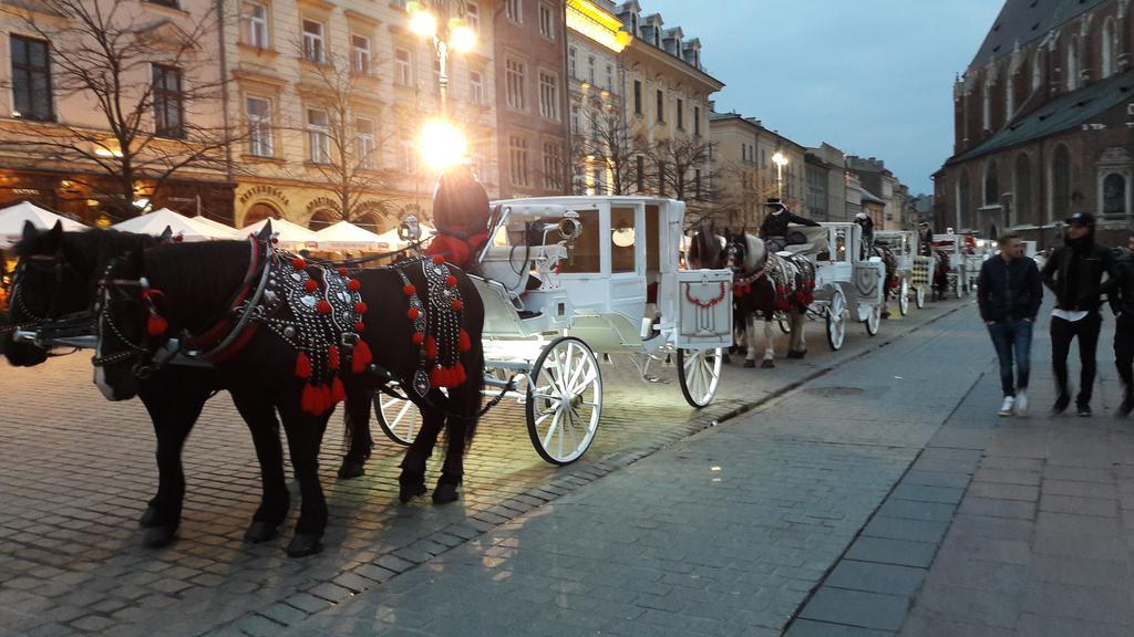 Apartament Feniks Stare Miasto Krasków Eksteriør bilde